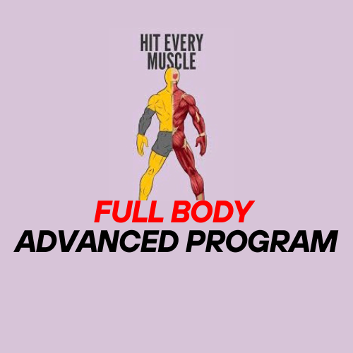Full Body Advance Program